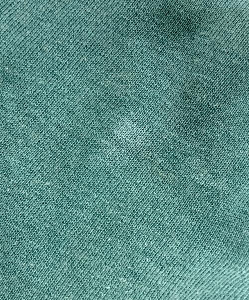 Champion（チャンピオン）Champion (チャンピオン) ヴィンテージプリントラグランスウェット グリーン サイズ:Mの古着・服飾アイテム