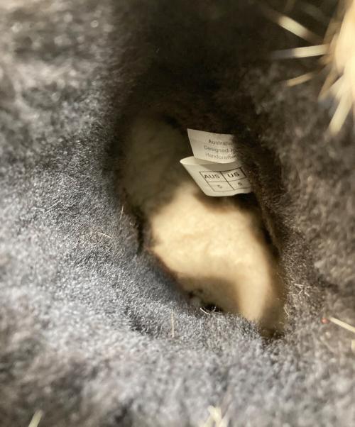 UGG（アグ）UGG (アグ) フリンジ ムートンブーツ ブラウン サイズ:23cmの古着・服飾アイテム