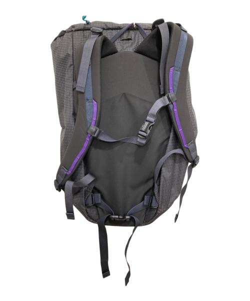 Patagonia（パタゴニア）Patagonia (パタゴニア) Ascensionist Pack 30L グレーの古着・服飾アイテム