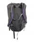 Patagonia (パタゴニア) Ascensionist Pack 30L グレー：6000円