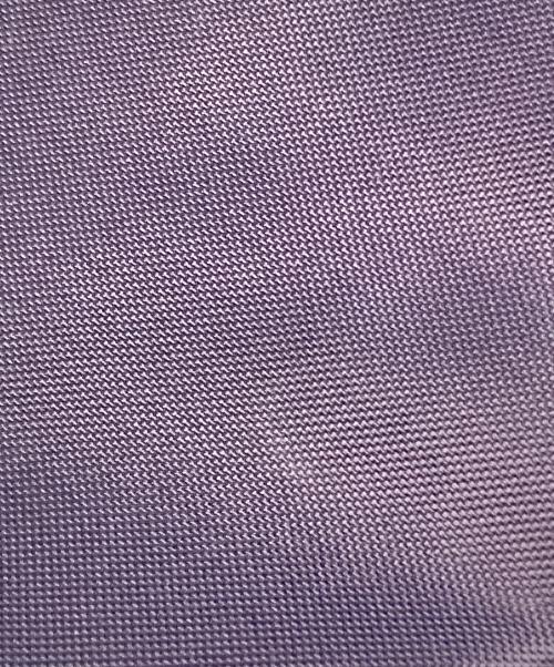 LONGCHAMP（ロンシャン）LONGCHAMP (ロンシャン) ル プリアージュ グリーン  S トップハンドルバッグ パープルの古着・服飾アイテム