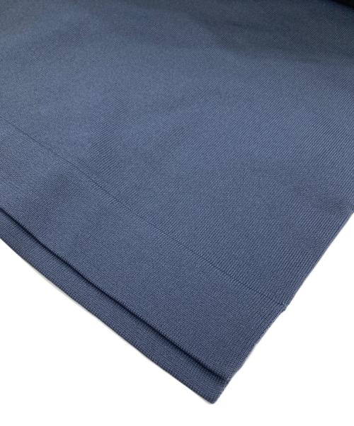 GOLDWIN（ゴールドウイン）GOLDWIN (ゴールドウイン) Wholegarment Polo Shirt ブルー サイズ:２の古着・服飾アイテム