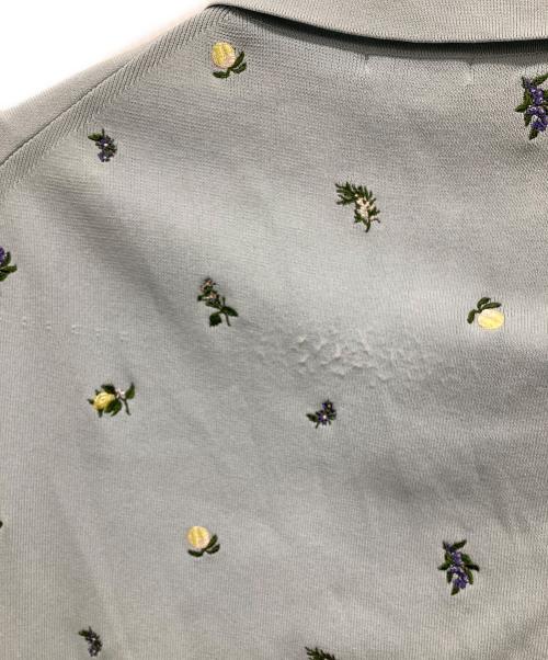 FRAY ID（フレイ アイディー）FRAY ID (フレイ アイディー) フルーツ刺繍ポロカラーノースリニットジレ スカイブルー サイズ:Fの古着・服飾アイテム