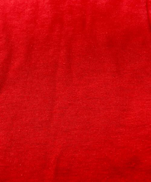 ArteX（アルテックス）ArteX (アルテックス) プリントTシャツ レッド サイズ:Mの古着・服飾アイテム