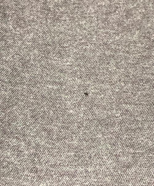 COMME des GARCONS HOMME（コムデギャルソン オム）COMME des GARCONS HOMME (コムデギャルソン オム) 90’s長袖カットソー グレー サイズ:FREEの古着・服飾アイテム