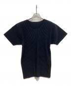 HOMME PLISSE ISSEY MIYAKEオム プリッセ イッセイ ミヤケ）の古着「BASICS/半袖プリーツカットソー」｜ネイビー