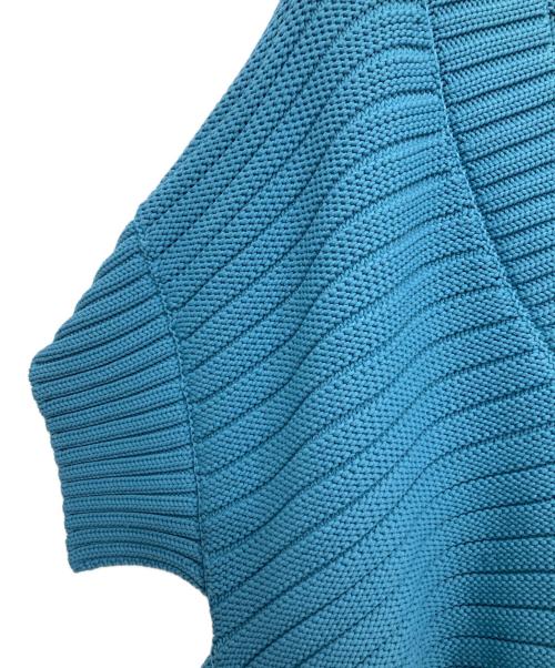 LE PHIL（ル フィル）LE PHIL (ル フィル) チャンキーバイカラーニット ブルー サイズ:Fの古着・服飾アイテム