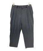 and wanderアンドワンダー）の古着「plain tapered stretch pants/タックナイロンパンツ」｜グレー