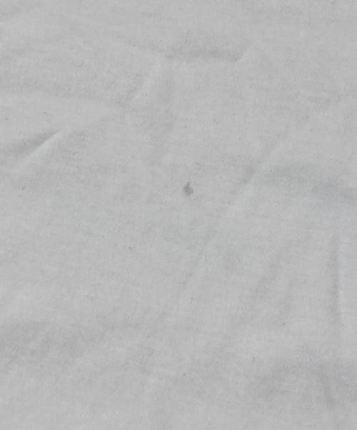 GIORGIO ARMANI（ジョルジオアルマーニ）GIORGIO ARMANI (ジョルジオアルマーニ) ピュアコットンインターロック Tシャツ ホワイト サイズ:SIZE50の古着・服飾アイテム