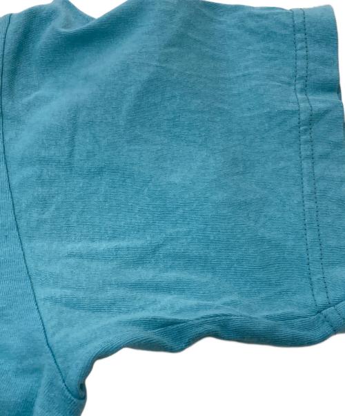 stussy（ステューシー）stussy (ステューシー) 00’sクラウンTシャツ スカイブルー サイズ:Lの古着・服飾アイテム