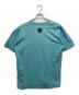 stussy (ステューシー) 00’sクラウンTシャツ スカイブルー サイズ:L：5000円
