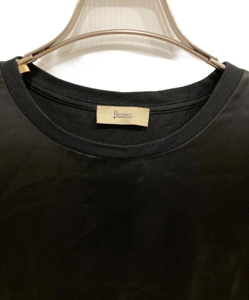 HERNO（ヘルノ）HERNO (ヘルノ) ニット切替カットソー ブラック サイズ:38の古着・服飾アイテム