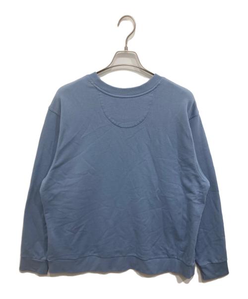 Patagonia（パタゴニア）Patagonia (パタゴニア) デイリー・クルーネック・スウェットシャツ スカイブルー サイズ:Lの古着・服飾アイテム