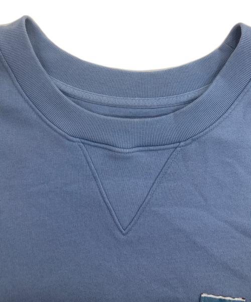 Patagonia（パタゴニア）Patagonia (パタゴニア) デイリー・クルーネック・スウェットシャツ スカイブルー サイズ:Lの古着・服飾アイテム