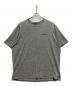 Patagonia（パタゴニア）の古着「Cap Cool Daily Graphic Shirt」｜グレー