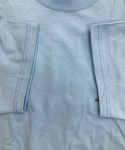 stussy（ステューシー）stussy (ステューシー) SUMMER CLASSICS TEE スカイブルー サイズ:Mの古着・服飾アイテム
