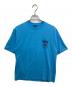 stussy（ステューシー）の古着「SUMMER CLASSICS TEE」｜スカイブルー