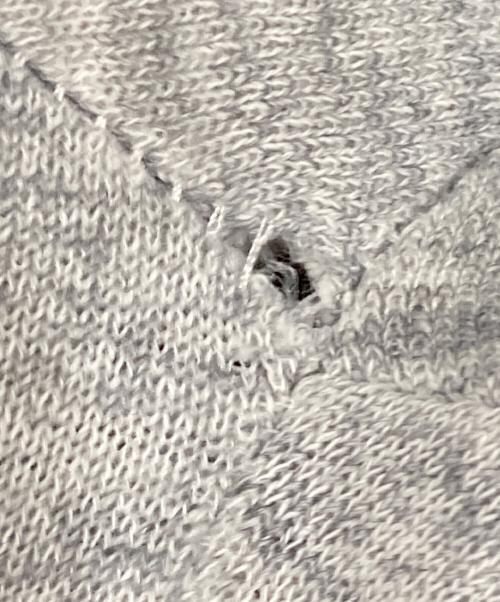 Champion（チャンピオン）Champion (チャンピオン) 80’sフロッキープリントラグランスウェット グレー サイズ:Lの古着・服飾アイテム