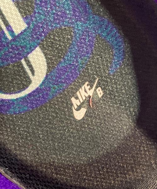 NIKE SB（ナイキエスビー）NIKE SB (ナイキエスビー) Dunk Low 