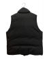 DAIWA PIER39 (ダイワ ピア39) GORE-TEX INFINIUM FIELD DOWN VEST ブラック サイズ:SIZE L：25000円