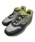 NIKE（ナイキ）の古着「AIR MAX 1 SP」｜Anthracite and Mediu