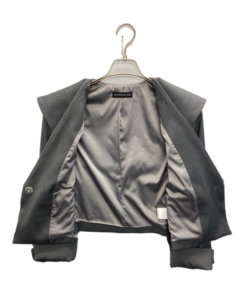 Sea Room lynn（シールームリン）Sea Room lynn (シールームリン) BIG COLLARショートジャケット グレー サイズ:SIZE Freeの古着・服飾アイテム