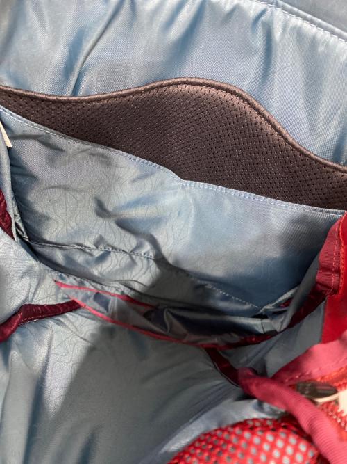 GREGORY（グレゴリー）GREGORY (グレゴリー) バックパック レッドの古着・服飾アイテム