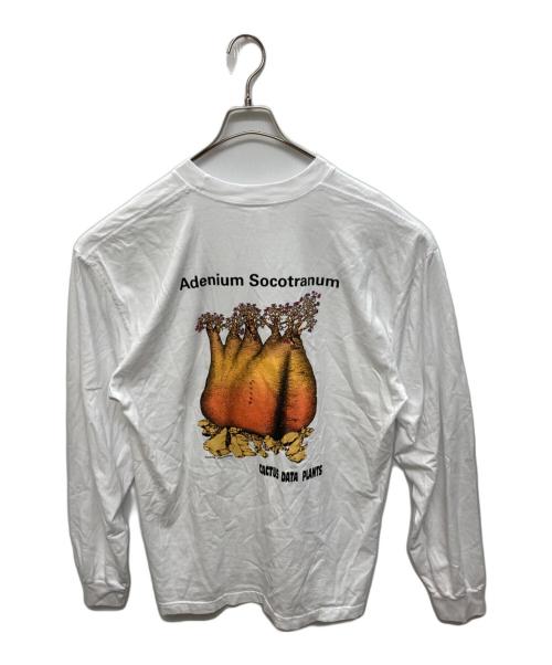 Cactus Store（カクタスストア）Cactus Store (カクタスストア) CDP REPRINT #3 : A. SOCOTRANUM: OG ホワイト サイズ:Lの古着・服飾アイテム