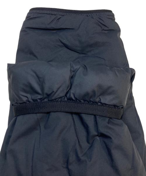 THE NORTH FACE（ザ ノース フェイス）THE NORTH FACE (ザ ノース フェイス) ASTRO LIGHT HOODIE ブラック サイズ:SIZE Lの古着・服飾アイテム