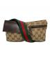 GUCCI（グッチ）の古着「GGキャンバス シェリーライン ウエストバッグ」｜ブラウン