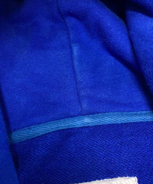 Alpine Codex Group by Goldwin（（アルパインコデックスグループバイゴールドウィン））Alpine Codex Group by Goldwin (（アルパインコデックスグループバイゴールドウィン）) プルオーバーパーカー ブルー サイズ:SIZE Ｌの古着・服飾アイテム