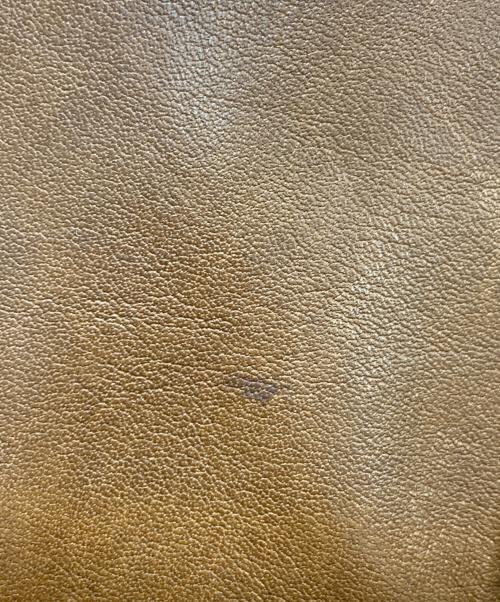 COACH（コーチ）COACH (コーチ) ブリーカー バックパック ブラウンの古着・服飾アイテム