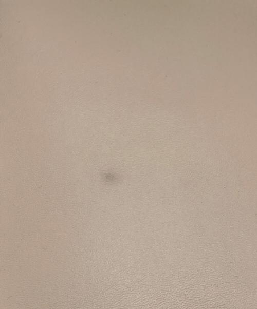 STELLA McCARTNEY（ステラマッカートニー）STELLA McCARTNEY (ステラマッカートニー) ステラロゴ ホーボー S ショルダーバッグ ブラウン×ベージュ サイズ:実寸サイズをご参照下さい。の古着・服飾アイテム