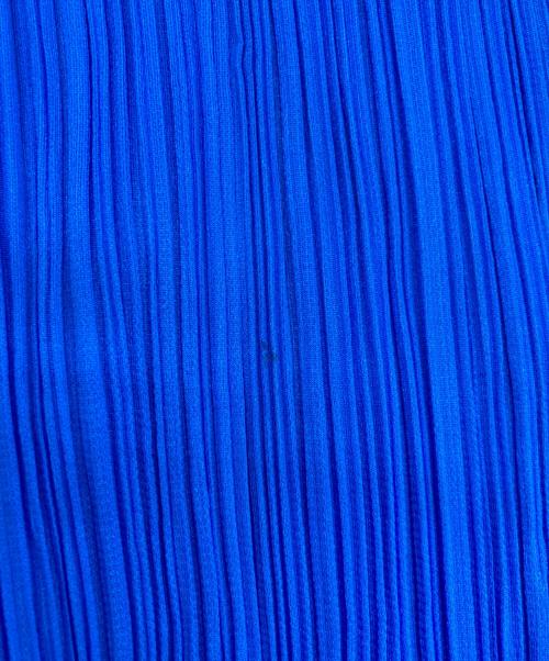 PLEATS PLEASE（プリーツプリーズ）PLEATS PLEASE (プリーツプリーズ) プリーツパンツ ブルー サイズ:SIZE 1の古着・服飾アイテム