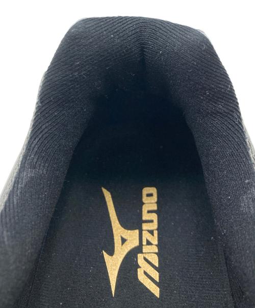 MIZUNO（ミズノ）MIZUNO (ミズノ) LAMBORGHINI (ランボルギーニ) ウエーブテンジン グレー サイズ:27.0cmの古着・服飾アイテム