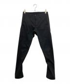 ARC'TERYX VEILANCEアークテリクスヴェイランス）の古着「INDISCE PANT/スリムフィットパンツ」｜ネイビー