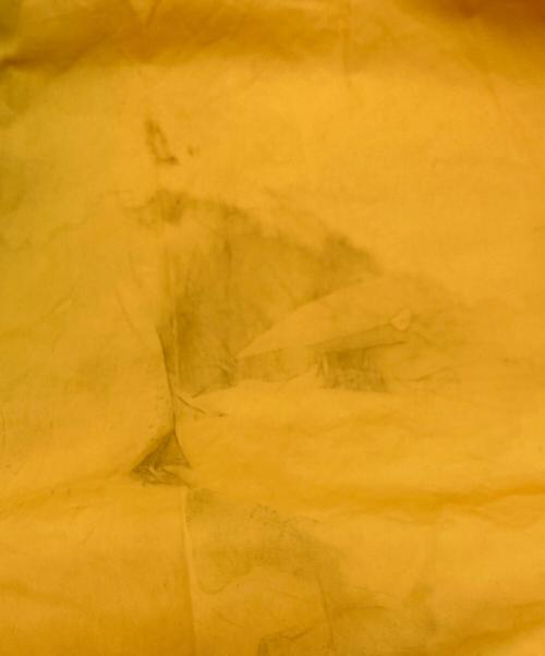 NIKE ACG（ナイキエーシージー）NIKE ACG (ナイキエーシージー) アノラックパーカー ブラック×イエロー サイズ:SIZE Lの古着・服飾アイテム