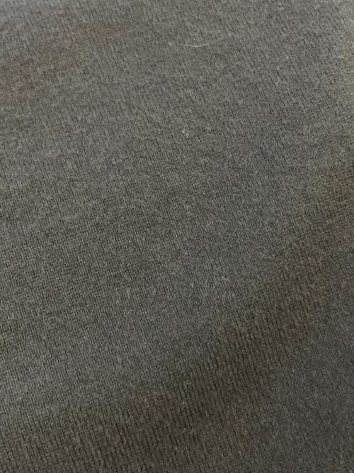 BLURHMS（ブラームス）BLURHMS (ブラームス) プリントTシャツ グレー サイズ:SIZE 不明の古着・服飾アイテム