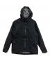 THE NORTH FACE（ザ ノース フェイス）の古着「Gadget Hangar Hoodie」｜ブラック