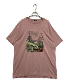 KITH（キス）の古着「Nature Society Vintage Tee in 'Dusty Quartz」｜ピンク