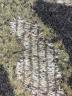 中古・古着 Y-3 (ワイスリー) U CH1 CAMO KNIT CREW SWEATER　HB3331 ブラック×カーキ サイズ:SIZE L：17000円