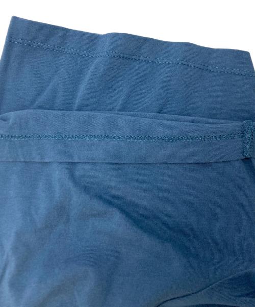 maison kitsune（メゾンキツネ）maison kitsune (メゾンキツネ) ARC'TERYX (アークテリクス） ブルー サイズ:SIZE Lの古着・服飾アイテム