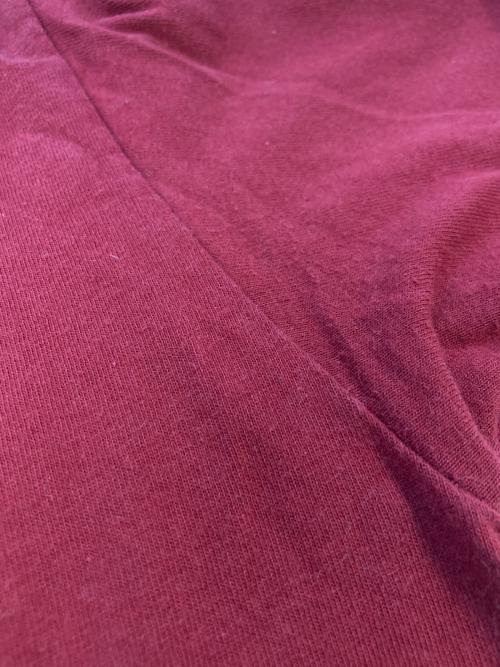 stussy（ステューシー）stussy (ステューシー) S-LOGO T-SHIRT レッド サイズ:SIZE Sの古着・服飾アイテム