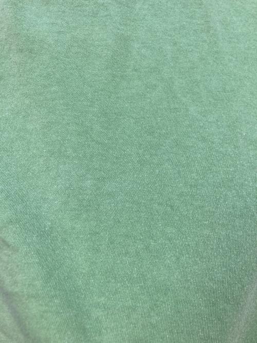 stussy（ステューシー）stussy (ステューシー) No4 TEE グリーン サイズ:SIZE Lの古着・服飾アイテム
