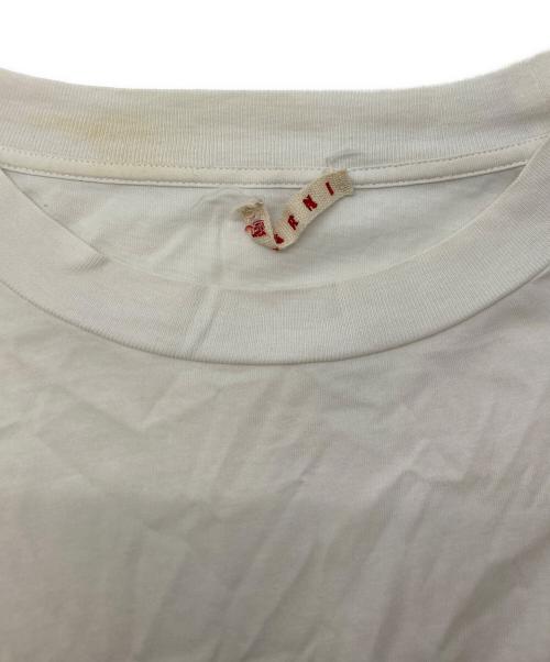 MARNI（マルニ）MARNI (マルニ) プリントTシャツ ホワイト サイズ:44の古着・服飾アイテム