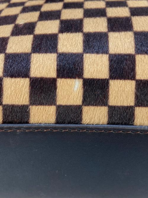 LOUIS VUITTON（ルイ ヴィトン）LOUIS VUITTON (ルイ ヴィトン) ハンドバッグ ブラウンの古着・服飾アイテム