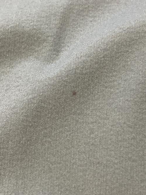 ARC'TERYX（アークテリクス）ARC'TERYX (アークテリクス) GAMMA SL PANT グレー サイズ:SIZE34の古着・服飾アイテム