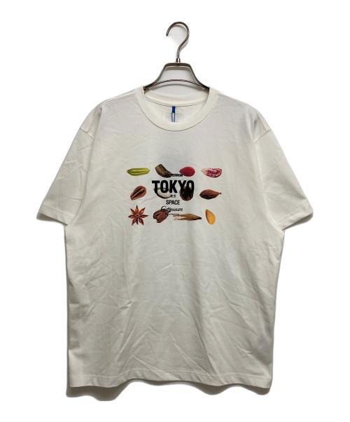ADER error（アーダーエラー）ADER error (アーダーエラー) TOKYO SPACE Tシャツ　BO05FYTS0107OW ホワイト サイズ:SIZE L 未使用品の古着・服飾アイテム