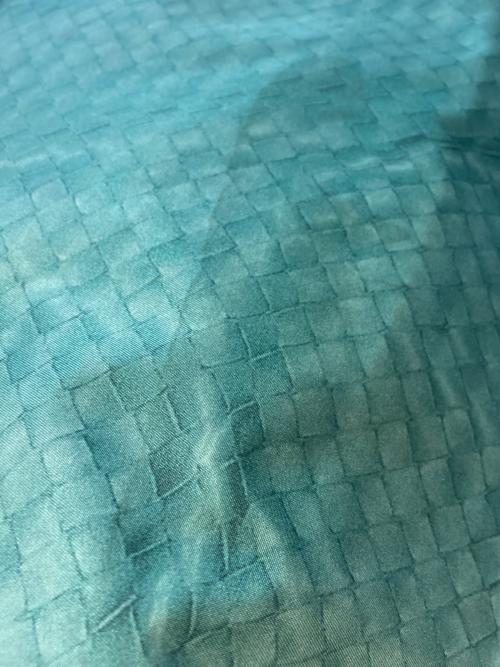 BOTTEGA VENETA（ボッテガベネタ）BOTTEGA VENETA (ボッテガベネタ) 転写イントレチャートプリントトートバッグ　	BO0769904K グリーン サイズ:実寸サイズをご参照下さい。の古着・服飾アイテム