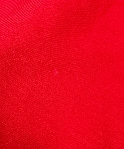 NIKE（ナイキ）NIKE (ナイキ) jacquemus (ジャックムス) University Red Sports Casual Midi Skirt レッド サイズ:SIZE Sの古着・服飾アイテム